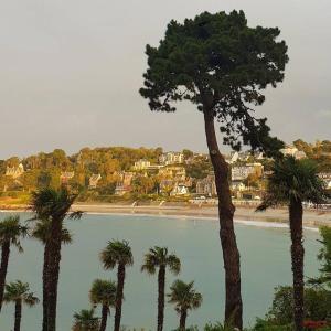 a group of palm trees next to a body of water at Grand appartement renové centre historique proche plages in Perros-Guirec
