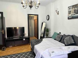 Schlafzimmer mit einem Bett und einem Flachbild-TV in der Unterkunft Studio Villa Floreasca in Bukarest