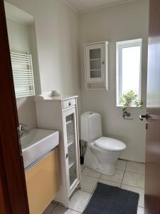 a bathroom with a toilet and a sink and a window at Selið Farm Stay - Guesthouse 