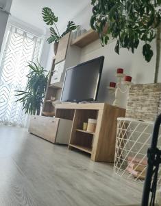 een woonkamer met een flatscreen-tv op een standaard bij Robik Studio Militari Residence in Roşu