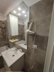 een badkamer met een wastafel en een spiegel bij Robik Studio Militari Residence in Roşu