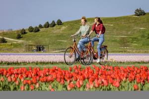 Majutusasutuse Zuidwest Zeven free parking! külastajad