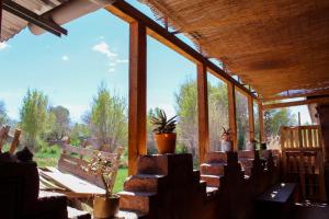 a screened in porch with potted plants on it at Puna Hostel in San Pedro de Atacama