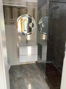 een badkamer met een wastafel, een spiegel en een douche bij Luxury Villa Tokyo in Kunitachi