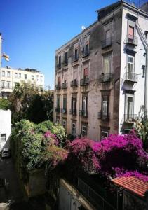 un edificio con fiori viola di fronte di DOMUS LUIGI LEONE 2 a Napoli
