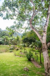 Jardín al aire libre en Casa de campo Oro Verde Oxapampa