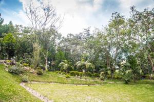 Jardín al aire libre en Casa de campo Oro Verde Oxapampa