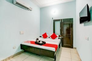 a bedroom with a bed with red pillows and a television at Flagship Moonlight Guest House in Patiāla