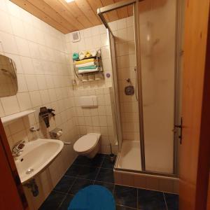 ein Bad mit einer Dusche, einem WC und einem Waschbecken in der Unterkunft Pitztal Ferienwohnungen in Sankt Leonhard im Pitztal