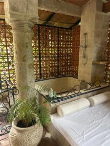 a bedroom with a bed and a plant in a room at Casa Miura Hotel Boutique in Ajijic