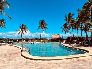 a swimming pool with palm trees in a resort at Oceanview Beachfront Condo on Tides Resort in Hollywood