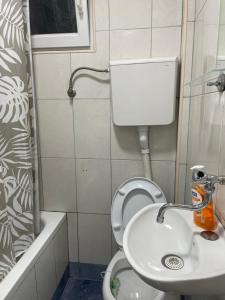 uma pequena casa de banho com WC e lavatório em Apartment Lazar & Marco em Podgorica