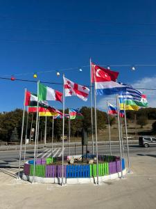 a group of different flags on a pole at Grand Atakum Boutıque Hotel in Mahmutlu