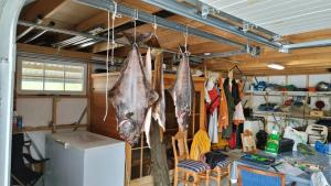 a room with some meat hanging from the ceiling at Feriehus Voldstad in Syvde