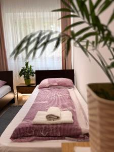 Katil atau katil-katil dalam bilik di Bezdan Guesthouse