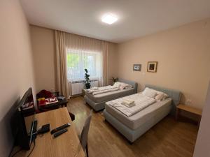 TV a/nebo společenská místnost v ubytování Bezdan Guesthouse