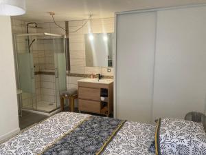a bedroom with a bed and a shower and a sink at Entre lac et montagne in Cluses