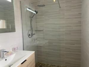 a bathroom with a shower and a sink at Charmante maison entièrement rénovée cœur de ville in Blois +17 photos