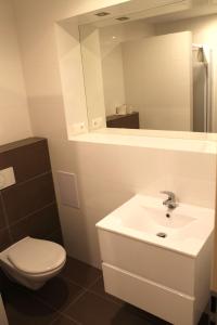 特爾納瓦的住宿－斯派克特魯姆酒店，一间带水槽、卫生间和镜子的浴室