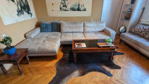 a living room with a couch and a coffee table at Center, Private Garage, Danube & Fortress, 3 bdrm 2 bath in Novi Sad