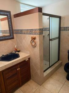 a bathroom with a glass shower and a sink at Coronado Beachfront tropical home! in Playa Coronado