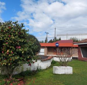 洛桑赫萊斯的住宿－Hotel Rarinco，院子里有花树的房子