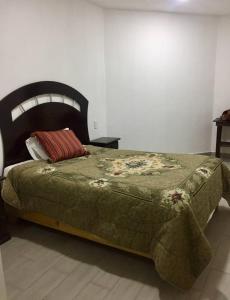 ein Schlafzimmer mit einem Bett mit einer grünen Bettdecke in der Unterkunft Habitación Privada in Municipio Tulancingo de Bravo