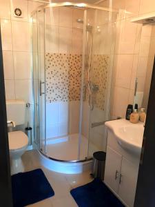 uma casa de banho com um chuveiro, um WC e um lavatório. em Hochwertige Wohnung mit Parkplatz im schönen Schwarzwald em Altensteig