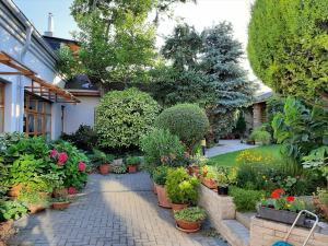 コマールノにあるVISUAL Apartmánの植花鉢が多い庭園