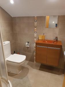 a bathroom with a toilet and a sink at Lamerako Etxie - La Casa del Parque - Park s Home in Bermeo