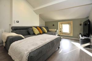 een woonkamer met een bank en een tv bij LE CHALEUREUX 60M2 à 200M Place Stanislas in Nancy