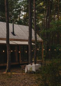 a table in front of a cabin in the woods at HATTA Las in Gąsiorowo Duże