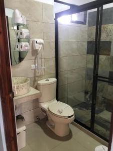 een badkamer met een toilet en een douche bij La Fortuna Donwtown Dreams in Fortuna