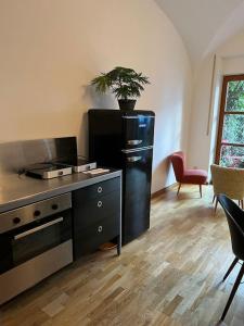 a kitchen with a black refrigerator and a plant on the counter at Stylische 2 ZWhg in der Altstadt in Mühldorf