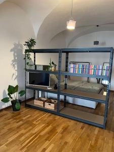 a room with a book shelf with a tv at Stylische 2 ZWhg in der Altstadt in Mühldorf