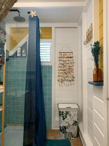 a bathroom with a shower and a toilet at Un p'tit coin Zen in Saint-François +26 photos
