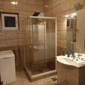 W łazience znajduje się prysznic i umywalka. w obiekcie Zafír Vendégház w Zamárdi