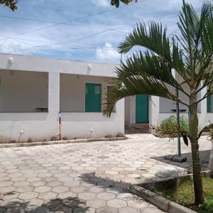a palm tree in front of a white building at Pousada da Rotatória in São Gonçalo do Amarante +30 photos