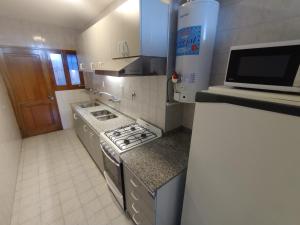 eine kleine Küche mit Herd und Mikrowelle in der Unterkunft BlasHouses in San Rafael + 6 Fotos