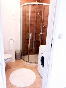 a bathroom with a shower and a toilet at Apartament Hubertus in Bochnia
