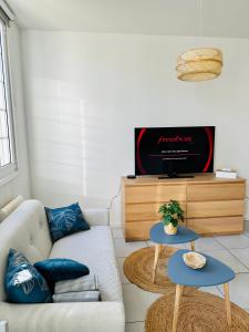 ein Wohnzimmer mit einem Sofa und einem TV in der Unterkunft SAINT DENIS 2 Chambres , 8min Porte Chapelle-8min Stade de France in Saint-Denis