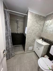 a bathroom with a shower and a toilet and a sink at Gigios Sport&Relax in Băileşti