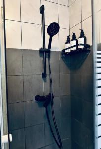 eine Dusche mit Duschkopf im Bad in der Unterkunft SAINT DENIS 2 Chambres , 8min Porte Chapelle-8min Stade de France in Saint-Denis