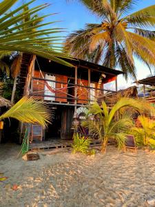 a house on the beach with a palm tree at Hostal Paraíso in Guachaca