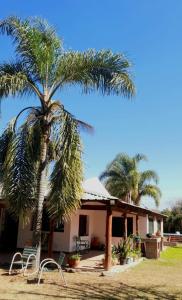 un palmier devant une maison avec deux chaises dans l'établissement Lugar clave, à Cerrillos