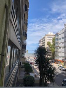 a view of a city street with buildings and a palm tree at Departamento Pocitos con anfitrión in Montevideo