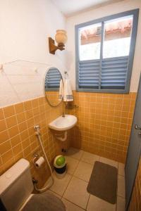 a bathroom with a toilet and a sink and a mirror at Tranquilidade e Conforto em Guaramiranga in Guaramiranga +30 photos