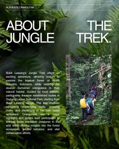 a flyer for about the trail in the jungle at Orangutan Treking Camp in Bukit Lawang