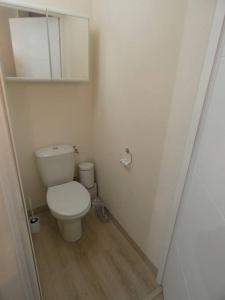 een kleine badkamer met een toilet en een spiegel bij Appart 4/6 pers La Mongie in Bagnères-de-Bigorre