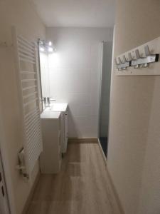 uma pequena casa de banho com um lavatório e um espelho em Appart 4/6 pers La Mongie em Bagnères-de-Bigorre